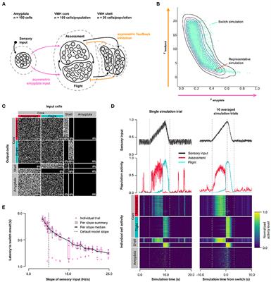 Sensory-thresholded switch of neural firing states in a computational model of the ventromedial hypothalamus